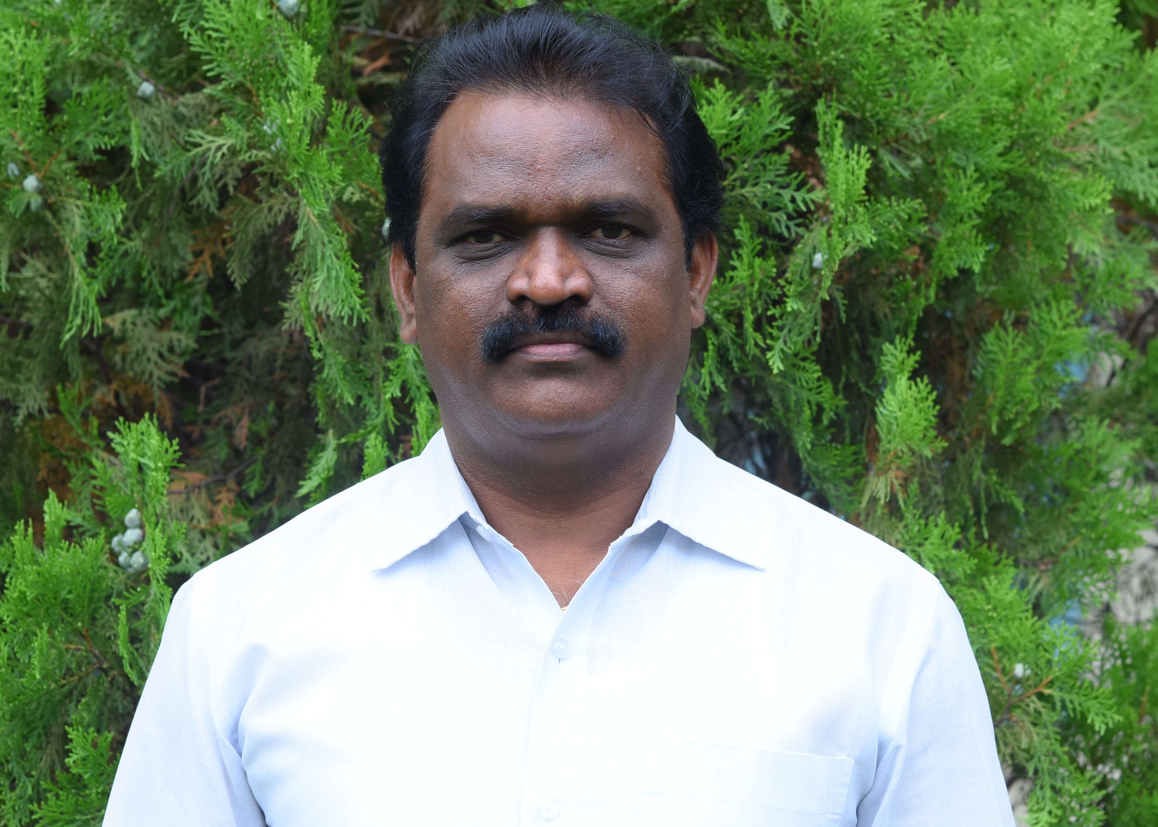 Shri M. Srinivas Rao's photo